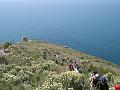 tra la barba di giove